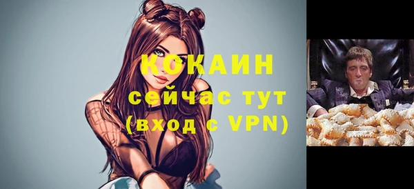 шишки Баксан