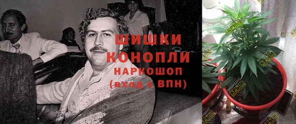 шишки Баксан