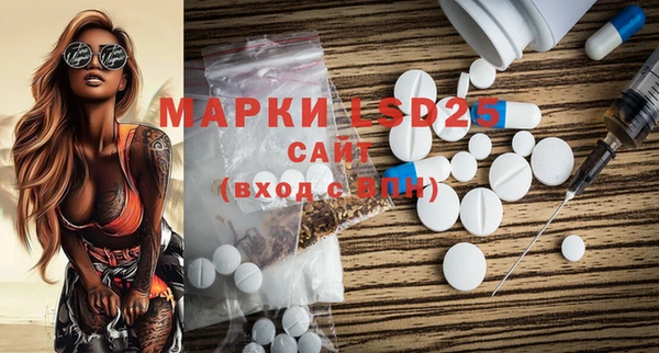 шишки Баксан