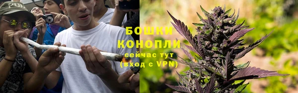 шишки Баксан