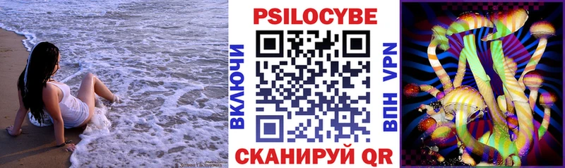 darknet клад  где продают наркотики  Гулькевичи  Псилоцибиновые грибы GOLDEN TEACHER 