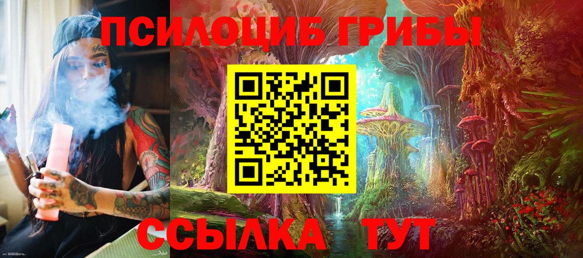 Псилоцибиновые грибы мухоморы Гулькевичи